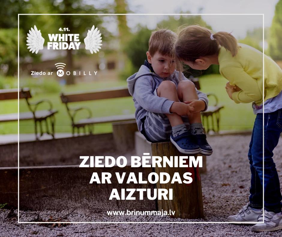 Brinummaja_WhiteFriday
